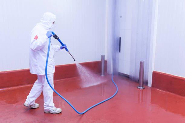 Best Sidewalk and Walkway Cleaning  in Long Beach, IN